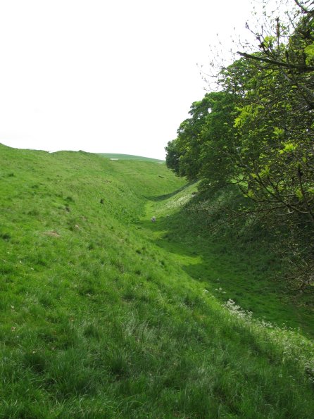 20100521-2718