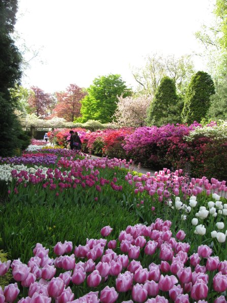20100511 1262