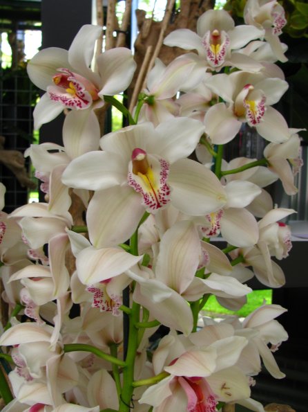 20100511 1267