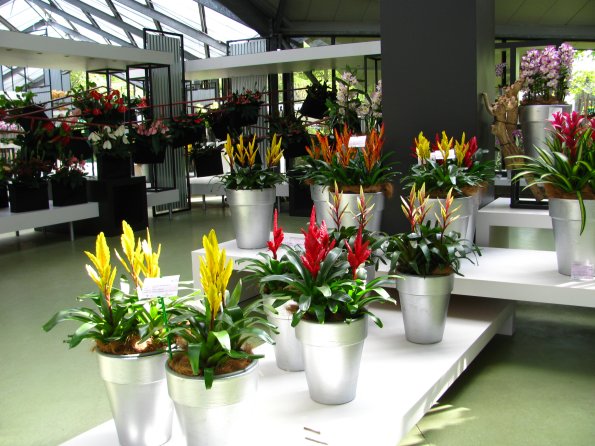 20100511 1277