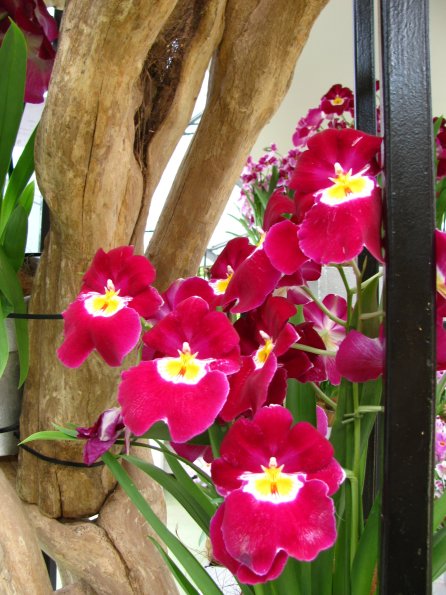 20100511 1278
