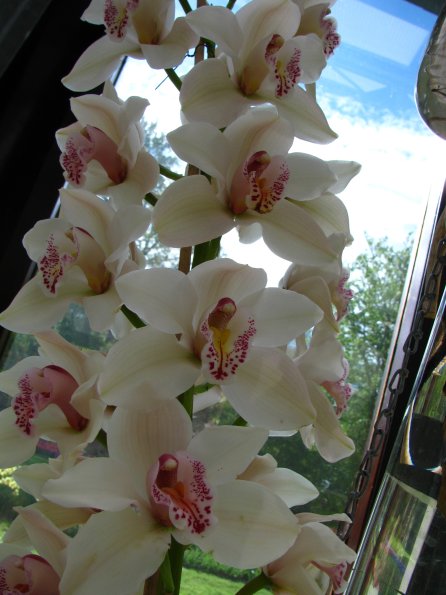 20100511 1282