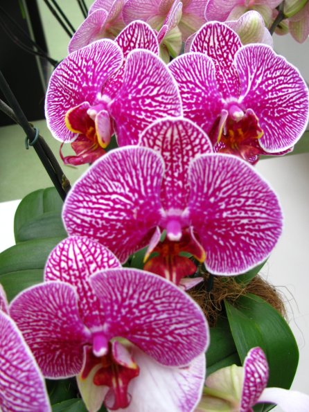 20100511 1286