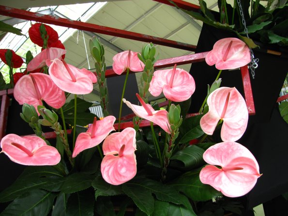 20100511 1301