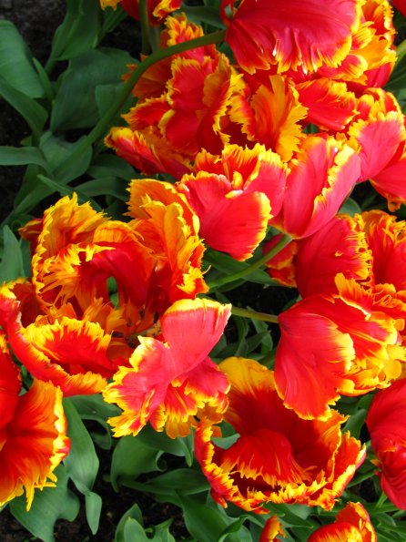 20100511 1325