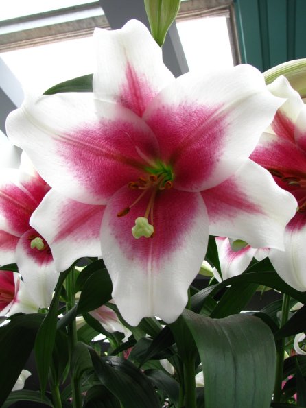 20100511 1350