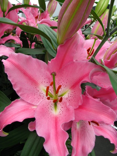 20100511 1351