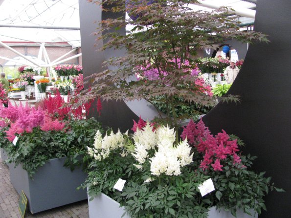 20100511 1354