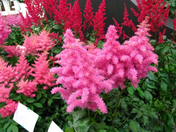 20100511 1355