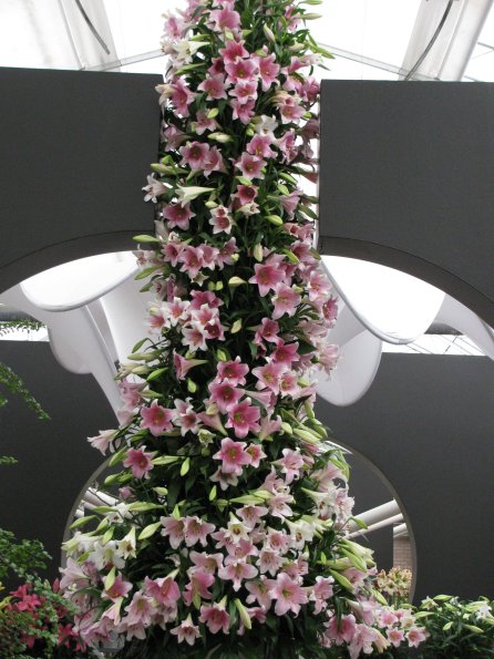 20100511 1368
