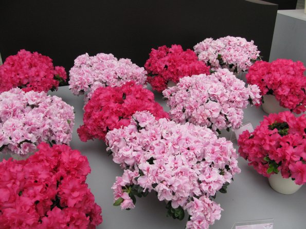 20100511 1369