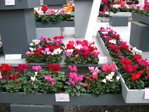20100511 1372