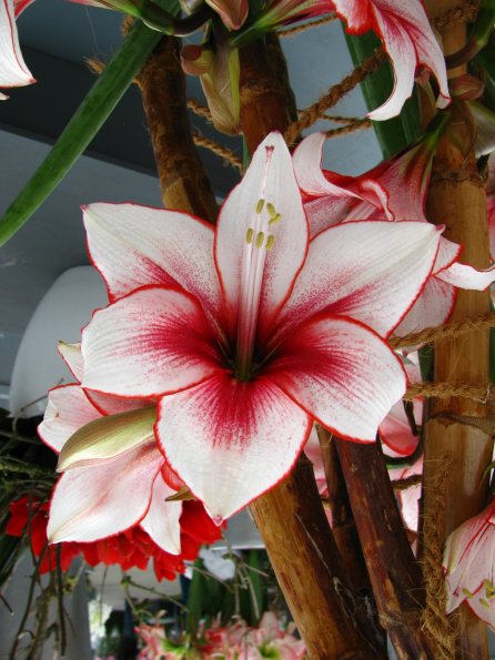 20100511 1374