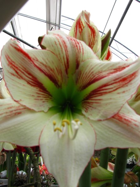 20100511 1380