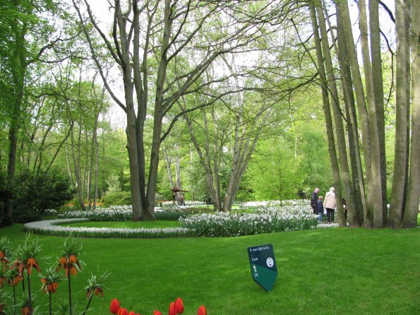 20100511 1389