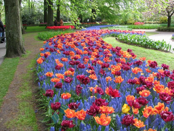 20100511 1447